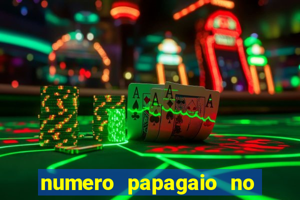 numero papagaio no jogo do bicho