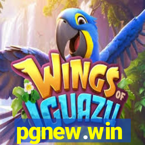 pgnew.win