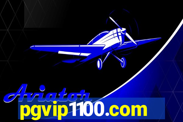 pgvip1100.com