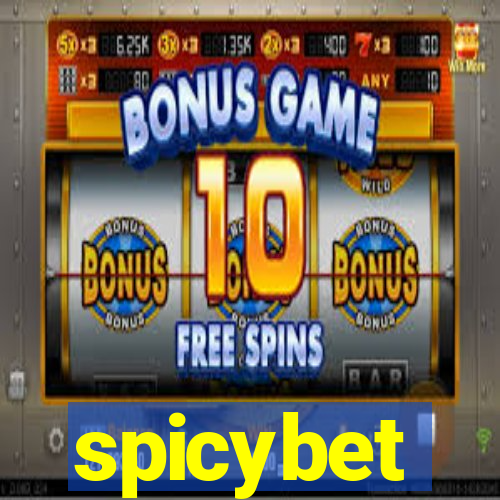 spicybet-4.com